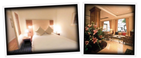 Hotel Reservation